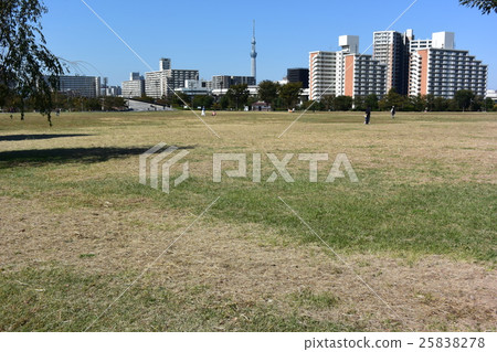 東京都大島小松川公園 25838278