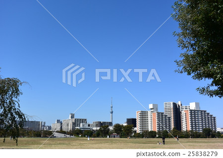 東京都大島小松川公園 25838279