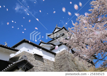 春天的Komine城堡(白川市) 春天的Komine城堡(白川市) 25838523