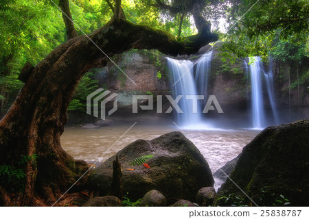 Heo Suwat Waterfall in Khao Yai National Park  25838787