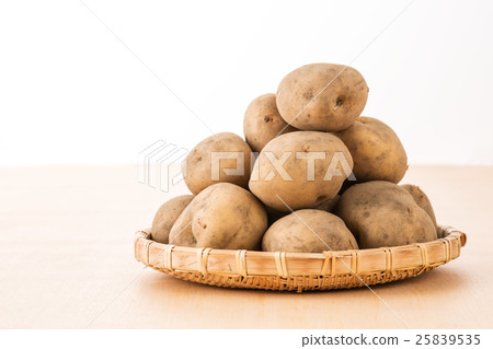 土豆 土豆 25839535