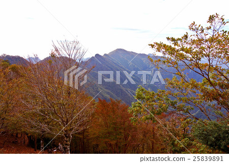 Ryuugi ridge of autumn leaves Ryuugi ridge of autumn leaves 25839891