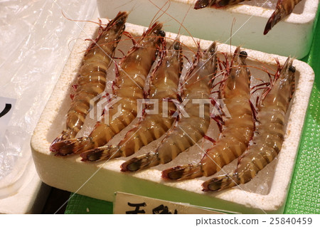 卡拉托市場 25840459