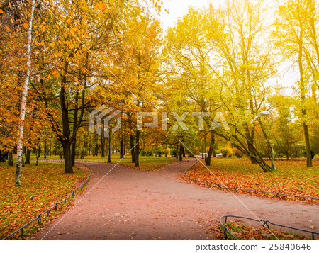 Beautiful autumn park,Park,Autumn in St.petersburg Beautiful autumn park,Park,Autumn in St.petersburg 25840646