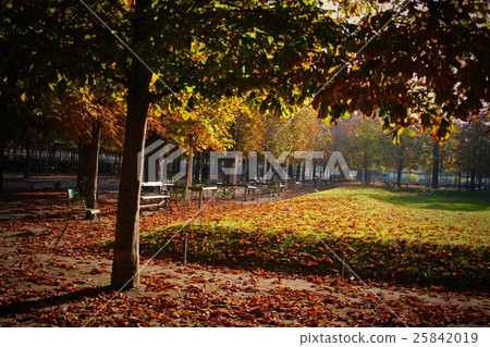 France · Paris · Tuileries Park · Autumn scenery France · Paris · Tuileries Park · Autumn scenery 25842019