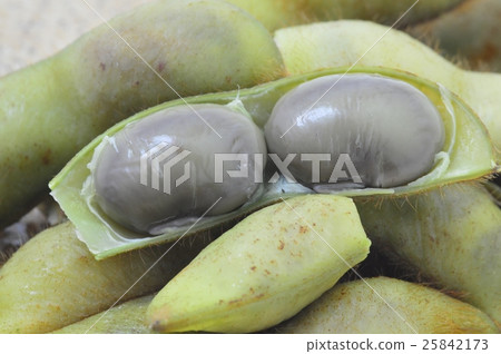 Tamba Black's Edamame 25842173