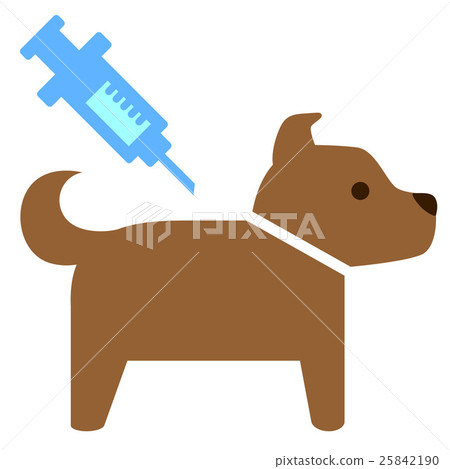 Dog and injection Dog and injection 25842190