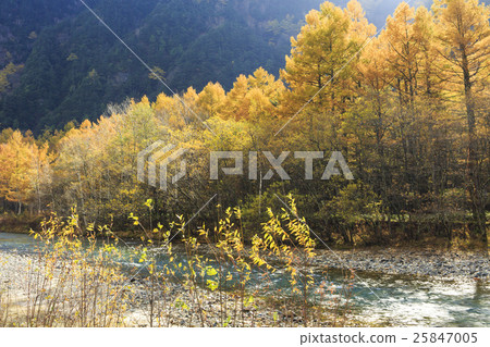 Kamikochi 25847005