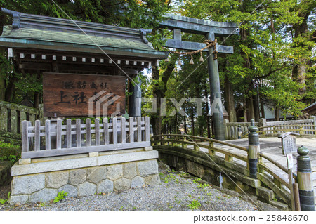 Su訪Taisha Shonsoring主神社 25848670