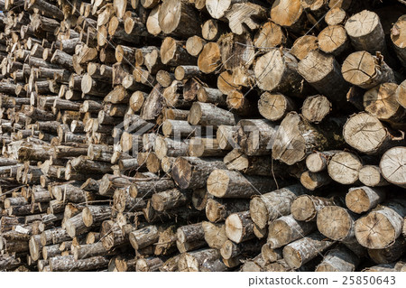 Pile of wood logs Pile of wood logs 25850643