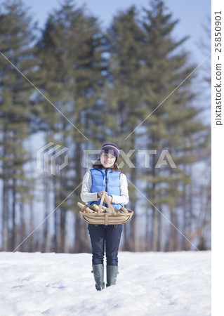 Overwintering vegetables 25850901