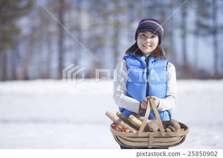 越冬蔬菜 25850902