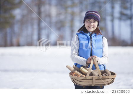 Overwintering vegetables 25850903