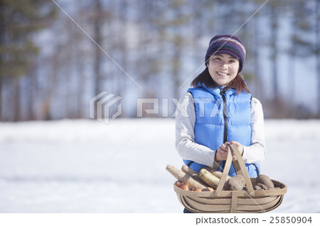 Overwintering vegetables 25850904