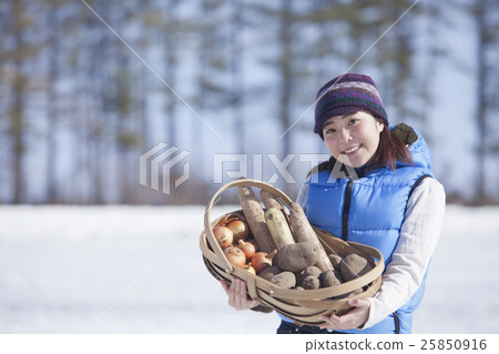 Overwintering vegetables 25850916