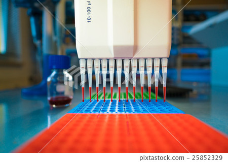 multi-channel pipet used for pipetting a 96 well multi-channel pipet used for pipetting a 96 well 25852329