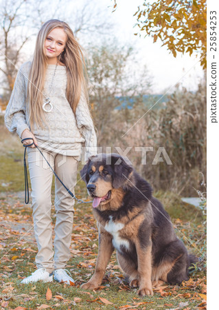 Pretty blonde girl with mastiff on the nature Pretty blonde girl with mastiff on the nature 25854253