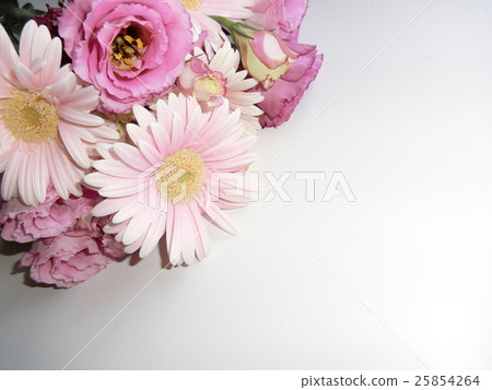 Bouquet of Gerbera and Turkey fennel Bouquet of Gerbera and Turkey fennel 25854264