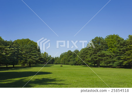 Fresh green park 25854518