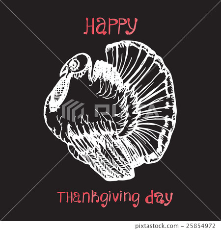 Hand drawn vector Thanksgiving Day background 25854972