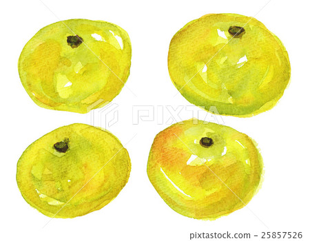 mandarin orange, fruit, fruits 25857526