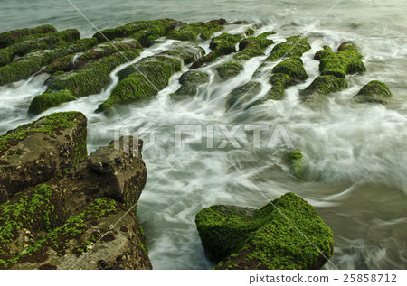 臺灣老梅藻礁 25858712