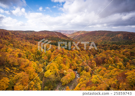 Autumn leaves of the Jogakura valley overlooking the Shiogakura Ohashi 25859743
