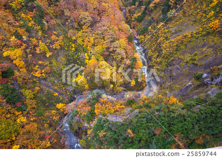 Autumn leaves of the Jogakura valley overlooking the Shiogakura Ohashi 25859744