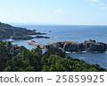 Hinosauri 25859925