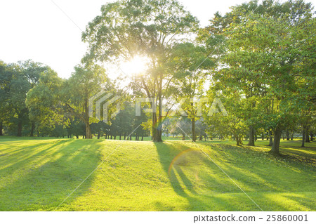 清晨的公園 25860001