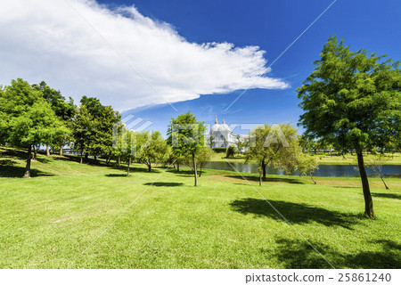 Wetland park 25861240