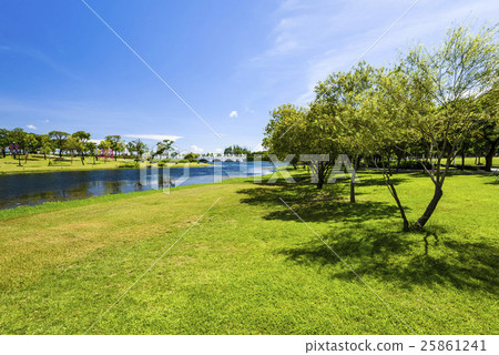 Wetland park 25861241