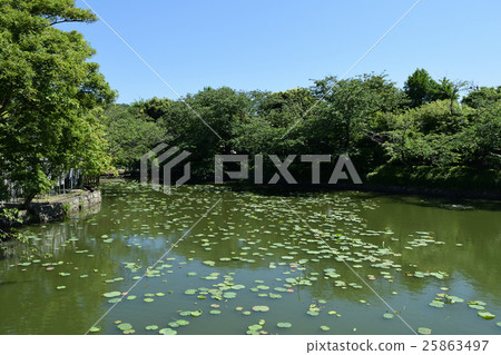 Kamakura Tsurugaoka Hachimangu Shrine Hatakami Benzaiten Genpei Pond 25863497