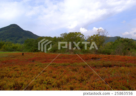 Hokkaido's only Ascensei wilderness islands in the autumn island of the autumn leaves Hokkaido's only Ascensei wilderness islands in the autumn island of the autumn leaves 25863556
