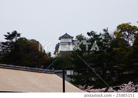 彥根城堡 25865151