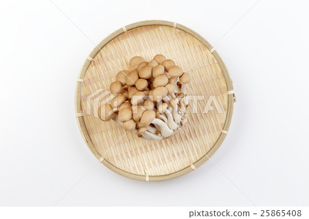 Bunashimeji 25865408