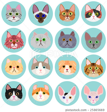 Cat face with set circle Cat face with set circle 25865669