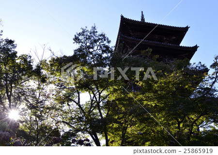 岡山縣Bikkan Kokubunji 25865919