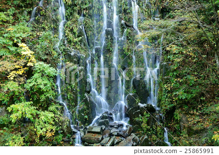 Tarutaki Nagano Kijimadaira Village Tarutaki Nagano Kijimadaira Village 25865991