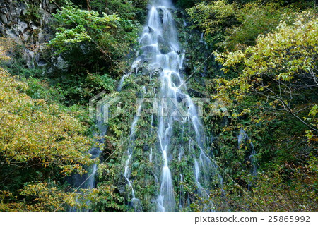 Tarutaki Nagano Kijimadaira Village Tarutaki Nagano Kijimadaira Village 25865992
