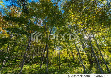 Bokke Lake Akan自然之旅 Bokke Lake Akan自然之旅 25866996