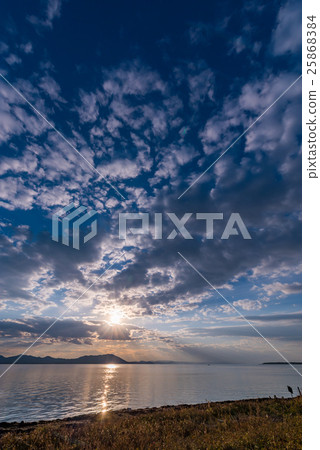 Wakka Wild Flower Garden Wakka Wild Flower Garden 25868384