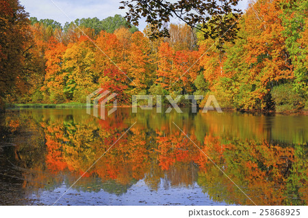 Old pond in the park the estate Turgenev Old pond in the park the estate Turgenev 25868925