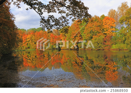 Old pond in the park the estate Turgenev 25868930