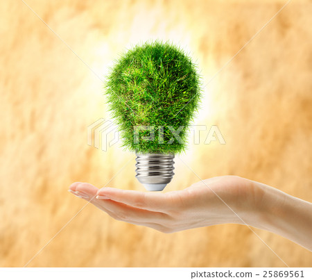 Lamp bulb made of grass in female hand 25869561