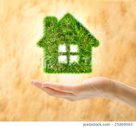 Female hand holding house made of grass 25869563