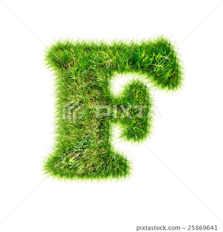 Capital latin letter of green grass Capital latin letter of green grass 25869641