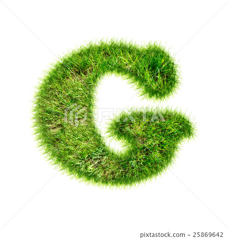 Capital latin letter of green grass 25869642