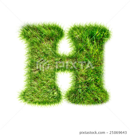 Capital latin letter of green grass Capital latin letter of green grass 25869643