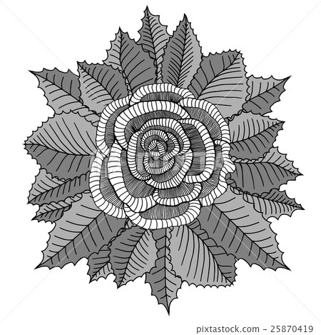 Hand drawn garden roses flower 25870419